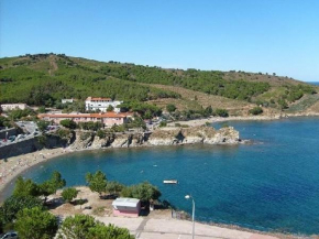 Agréable studio à 250m de la plage avec loggia, animaux acceptés et parking privatif - FR-1-309-75